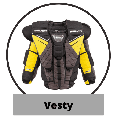 https://hokejlevne.globeweb.cz/poradna-vesty